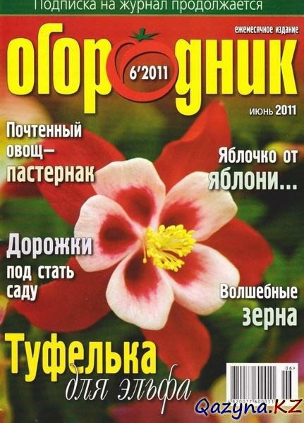  6 ( 2011)